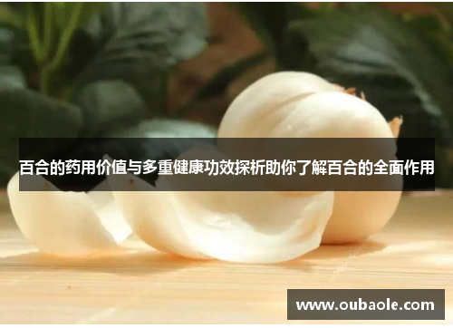 百合的药用价值与多重健康功效探析助你了解百合的全面作用