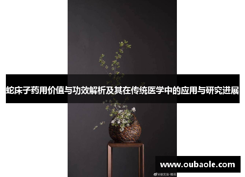 蛇床子药用价值与功效解析及其在传统医学中的应用与研究进展